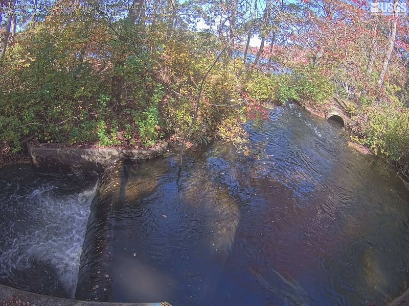 A leafy channel beside a small cascade, with clearly resolved green branches and a few red leaves arching over the water. The view includes a culvert and water-control structures.