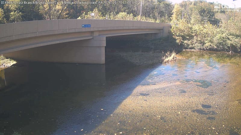 A bridge and creek dominate. Trees and shrubs behind and beside the bridge offer a restricted, hazy local green/yellow foliage view.