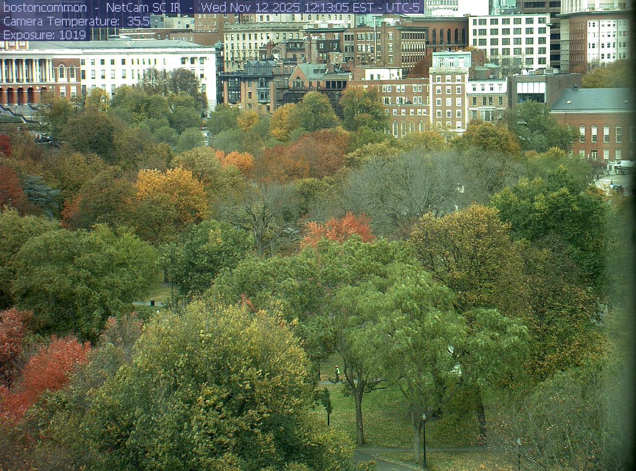 Buildings rise behind the park canopy; a fixed structure covers part of the right edge.