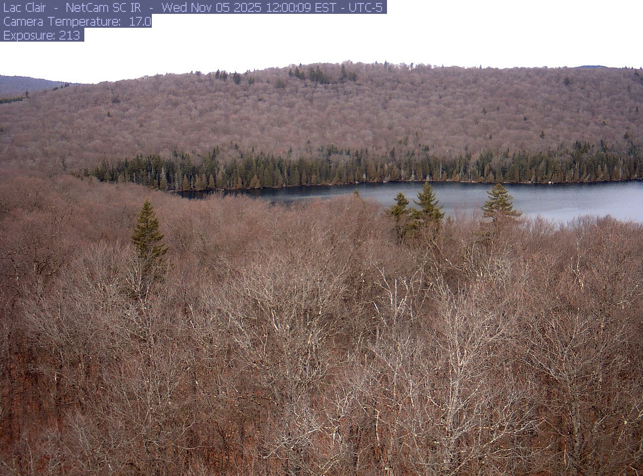 A wooded hillside and close canopy frame the water at Lac Clair.