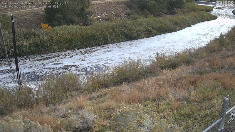 A narrow creek with reeds, tawny grass and low shrubs along both banks; a few green leafy trees at the top. More grass and shrub color than tree canopy, with a gauge pole at left and fence at right.