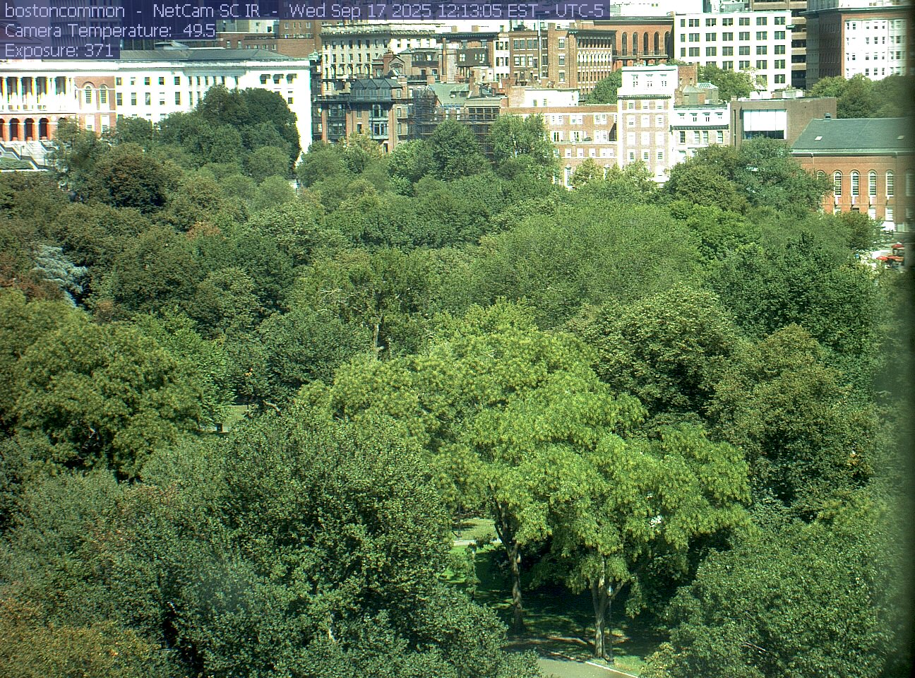Buildings rise behind the park canopy; a fixed structure covers part of the right edge.
