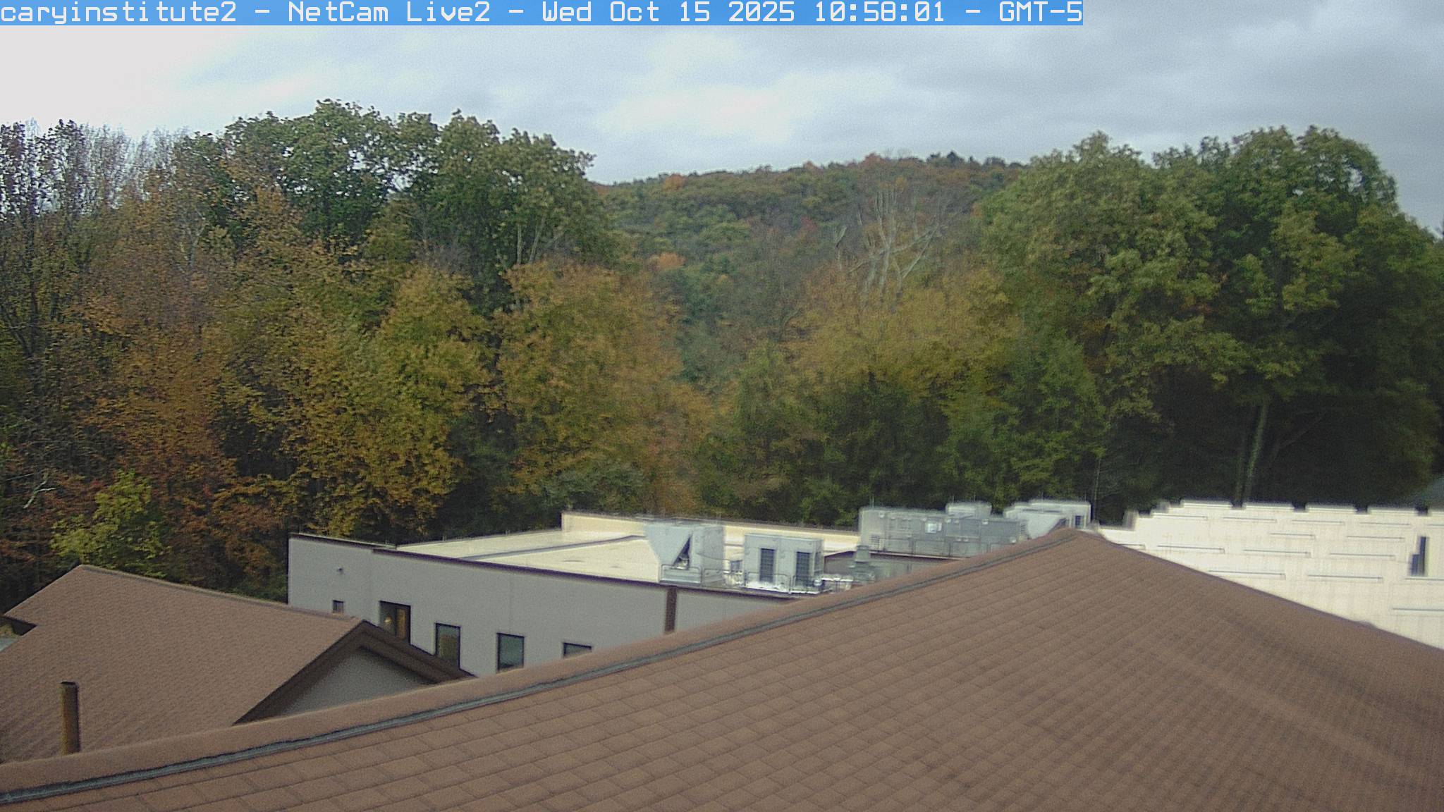 A rooftop camera at the Cary Institute in Millbrook looks over a shingle roof and a flat-roofed building to broadleaf woods and a ridge.