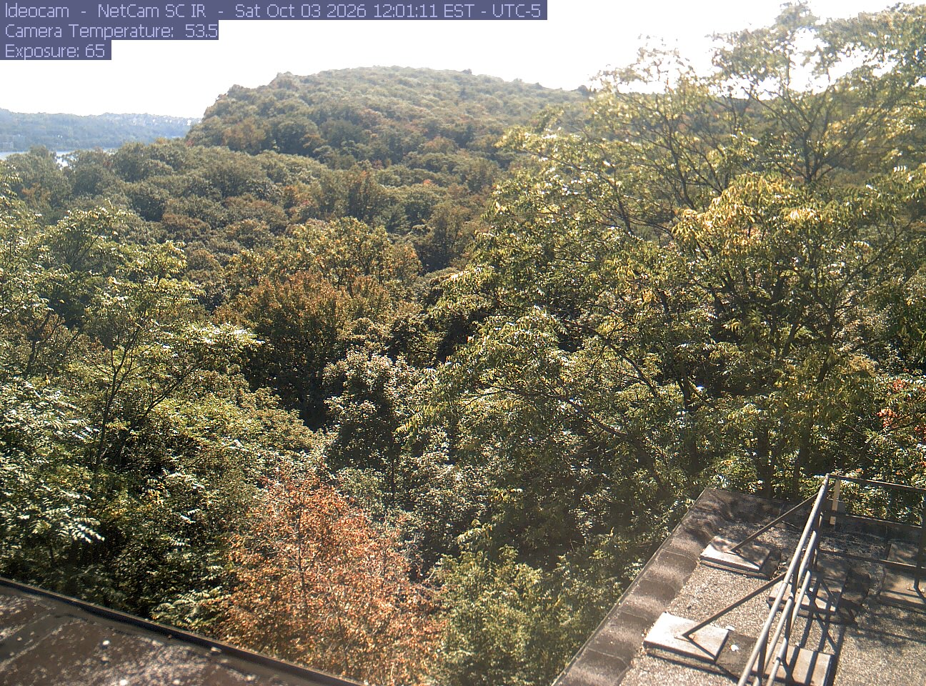 A wooded ridge rises behind close canopy at Lamont–Doherty Earth Observatory.