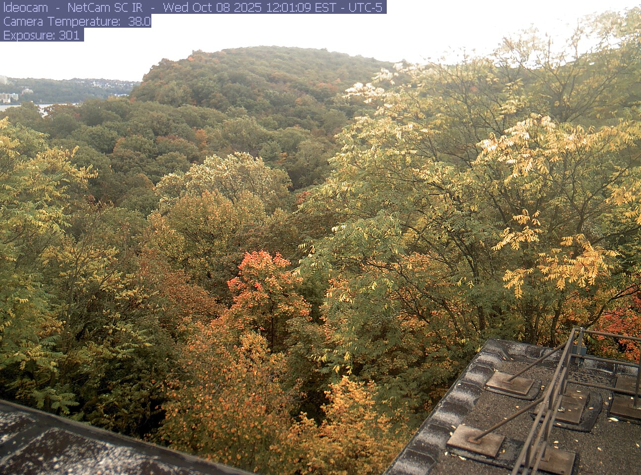 A wooded ridge rises behind close canopy at Lamont–Doherty Earth Observatory.
