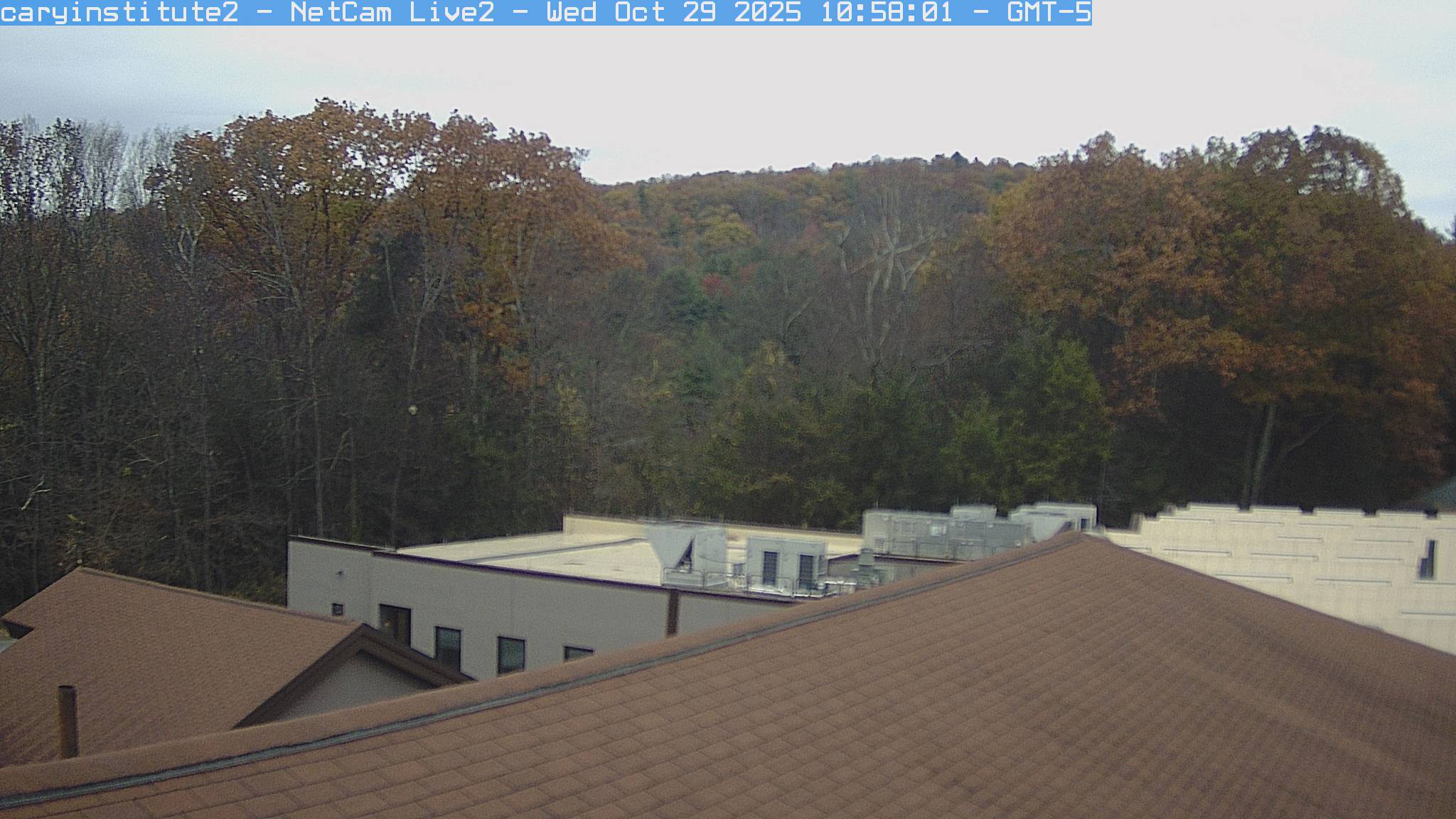 A rooftop camera at the Cary Institute in Millbrook looks over a shingle roof and a flat-roofed building to broadleaf woods and a ridge.