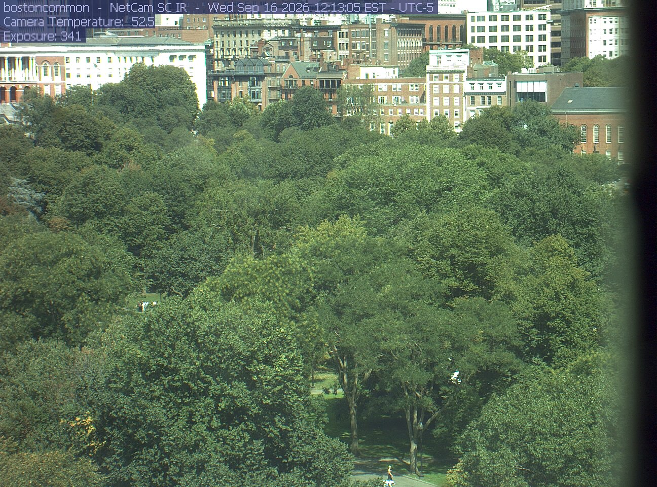 Buildings rise behind the park canopy; a fixed structure covers part of the right edge.