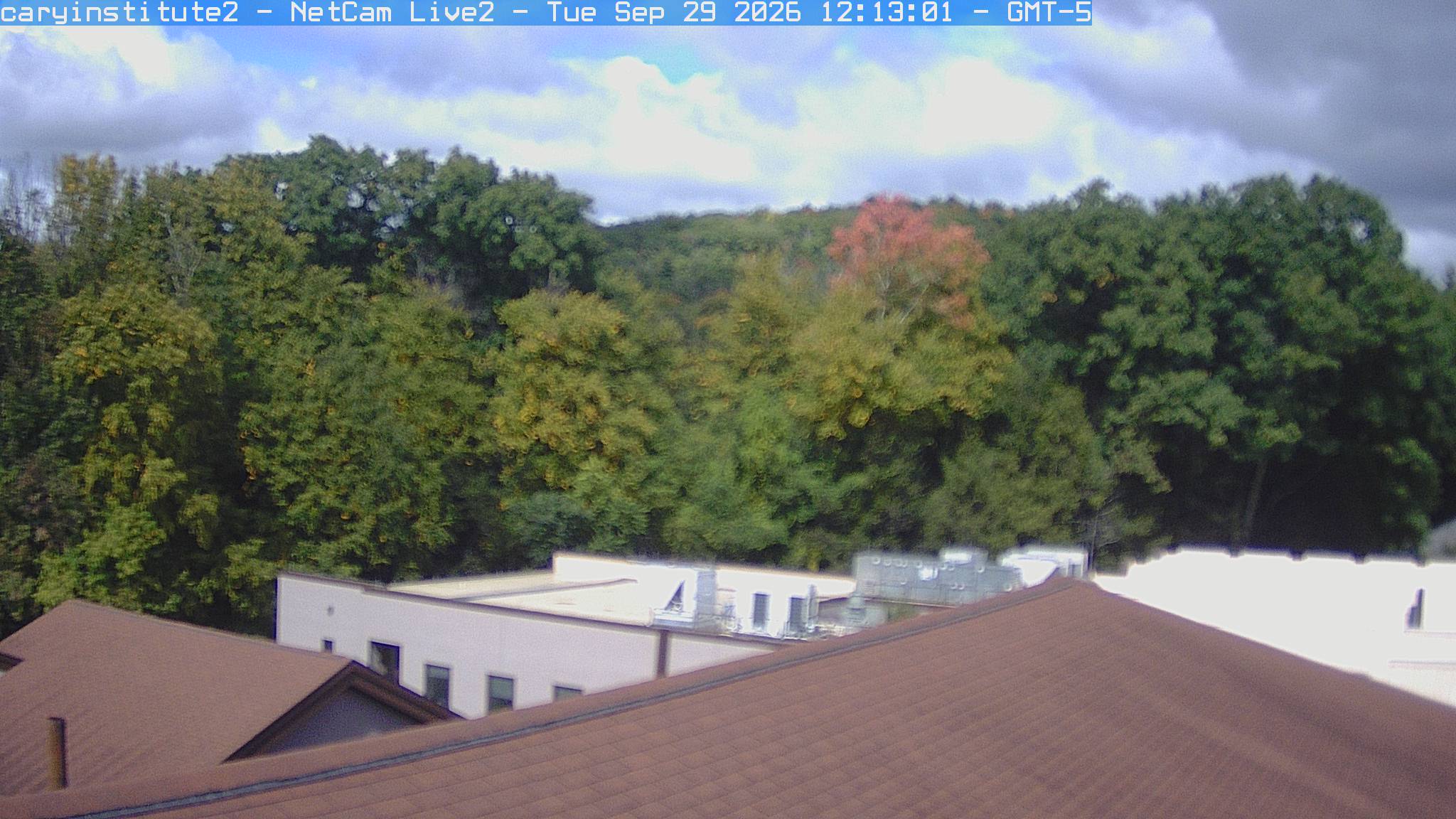 A rooftop camera at the Cary Institute in Millbrook looks over a shingle roof and a flat-roofed building to broadleaf woods and a ridge.