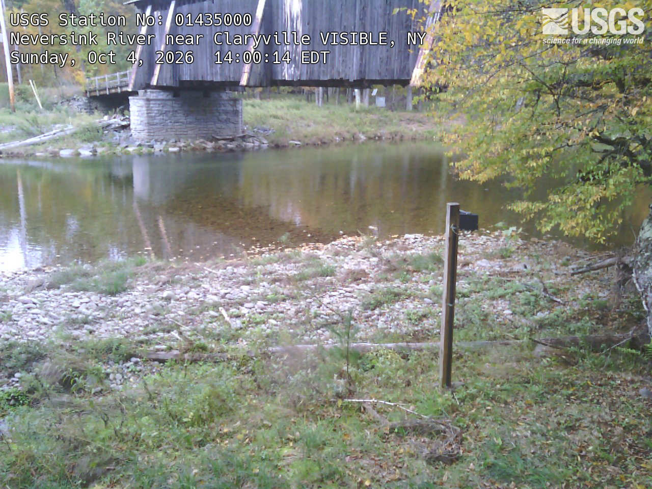 A rustic covered bridge over a still pool, with a large yellowing branch at right and woodland glimpsed behind the bridge.