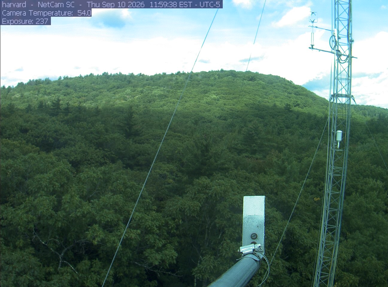 Forest canopy surrounds the tower, with a mast and instruments in the foreground.