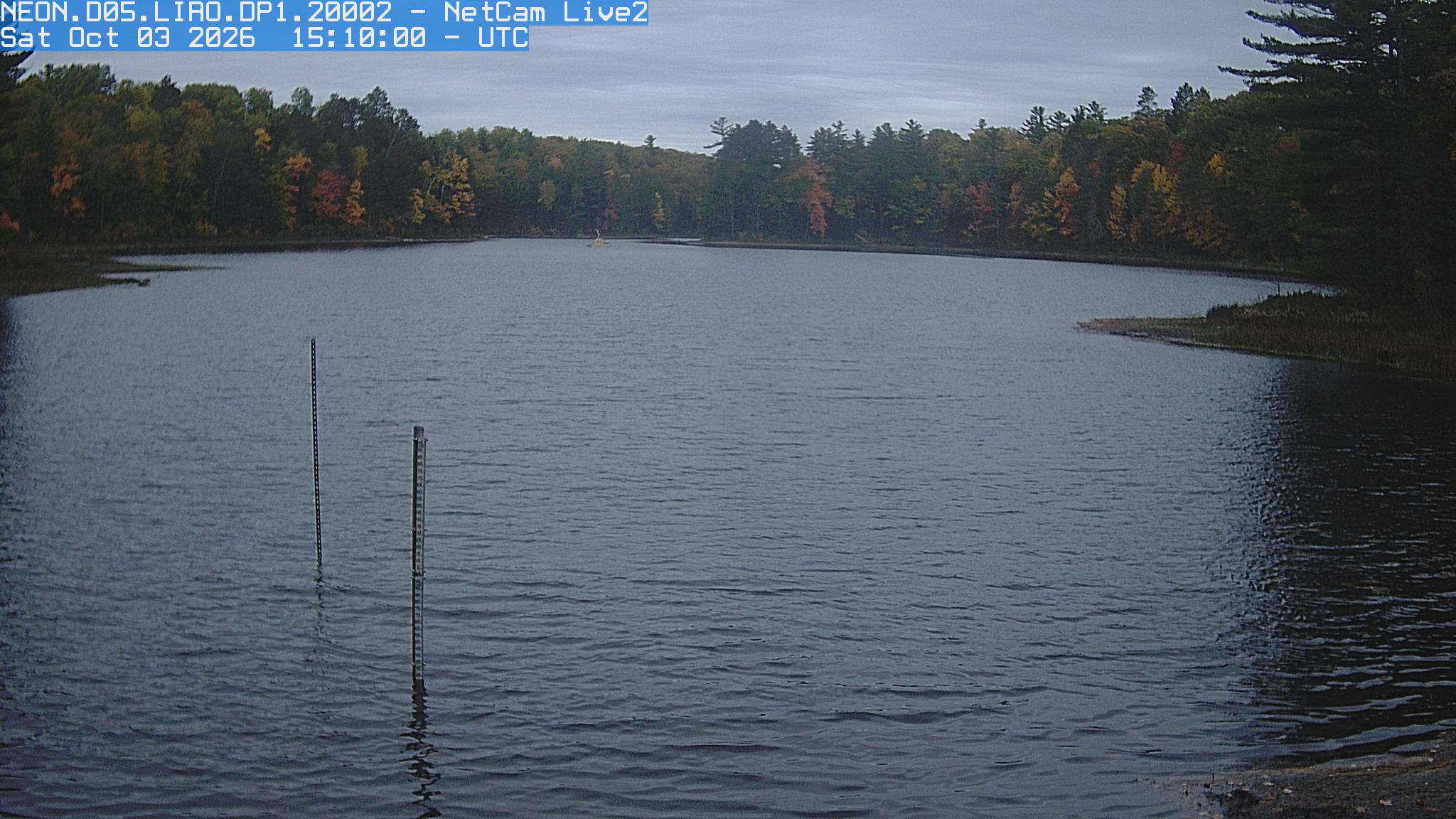 A quiet lake faces a wooded shoreline with distinguishable yellow, red and green crowns. Earlier light makes the autumn trees more visible than in the noon exposure, while water occupies most of the scene.