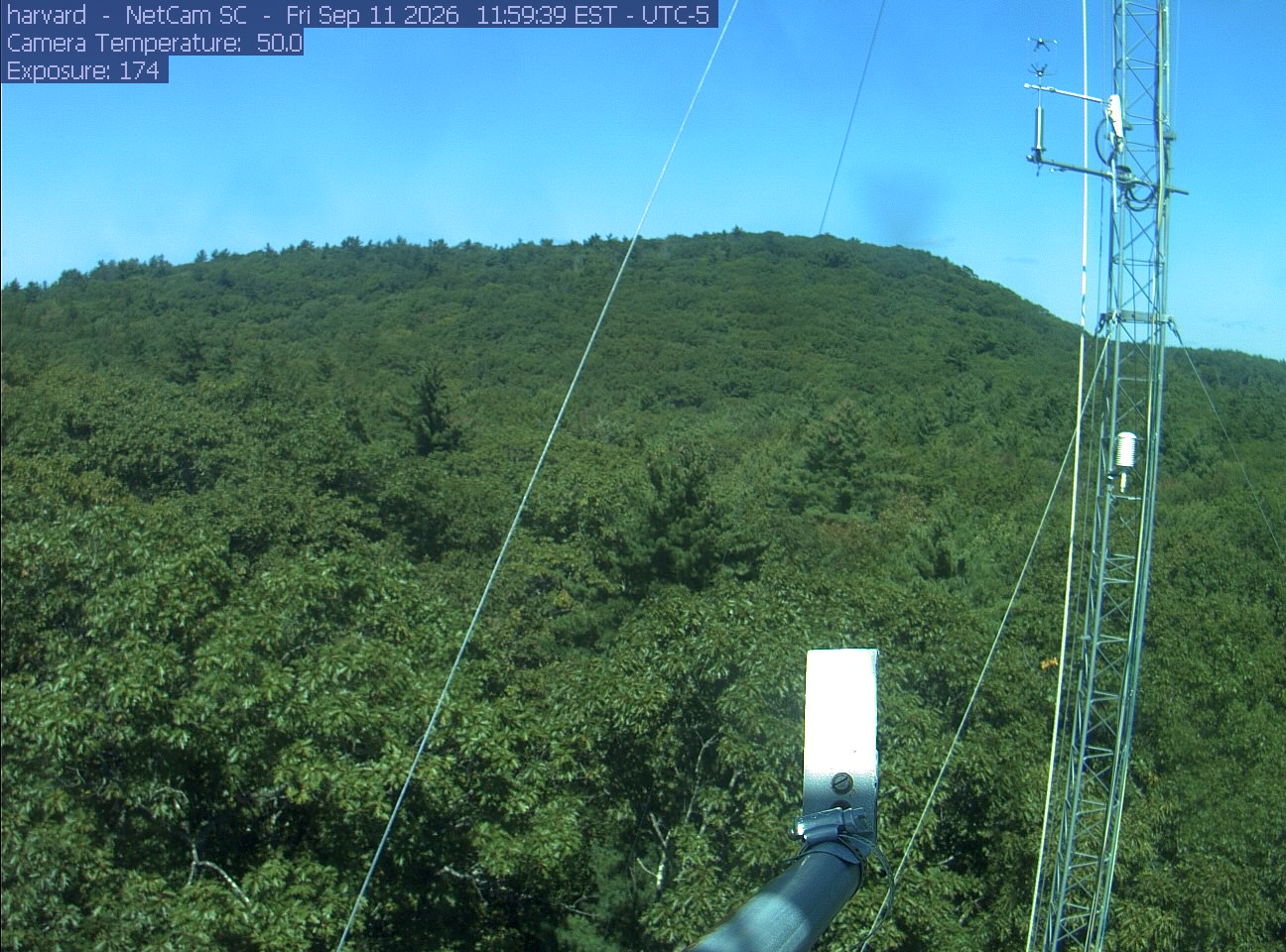 Forest canopy surrounds the tower, with a mast and instruments in the foreground.