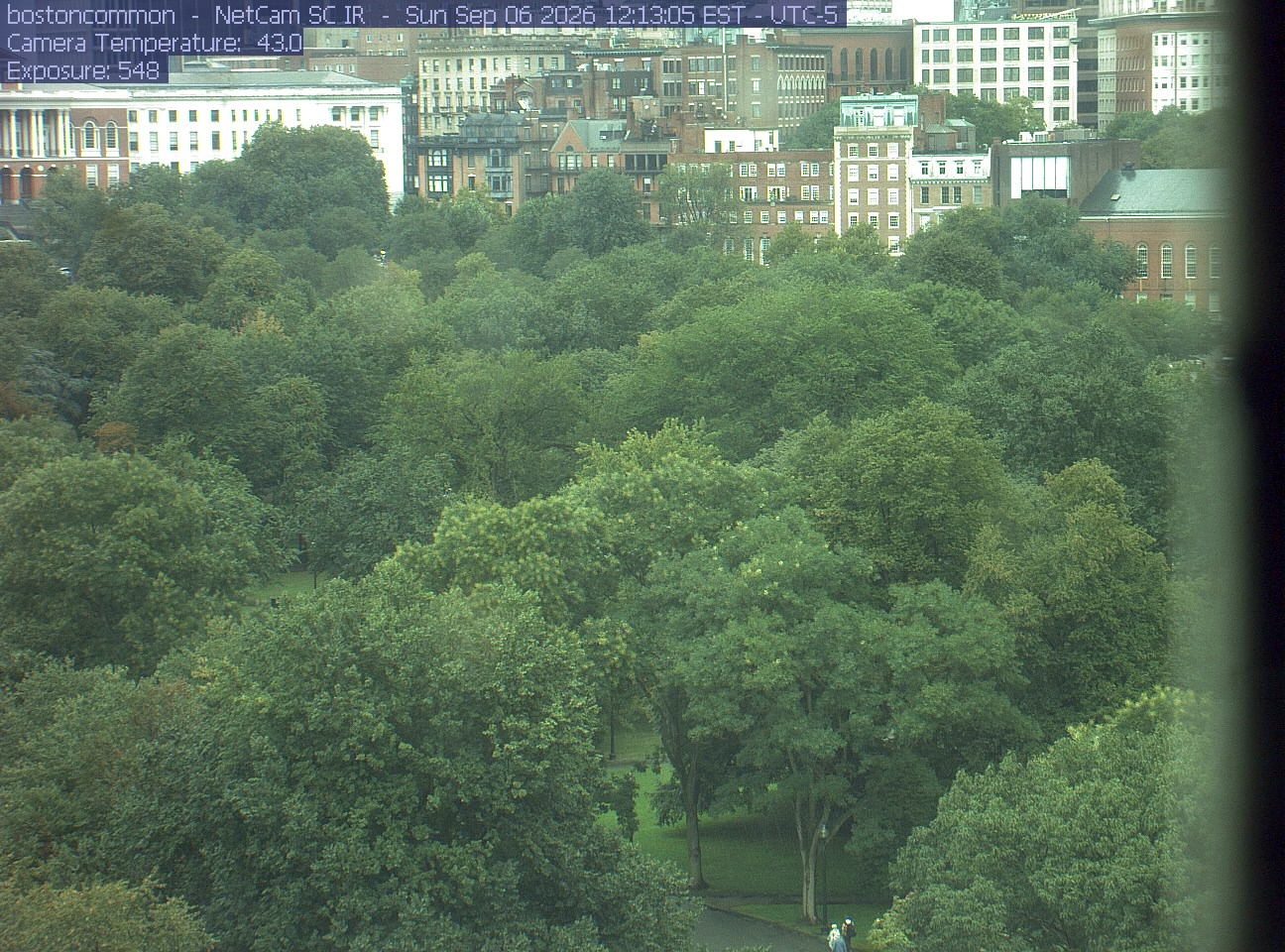 Buildings rise behind the park canopy; a fixed structure covers part of the right edge.