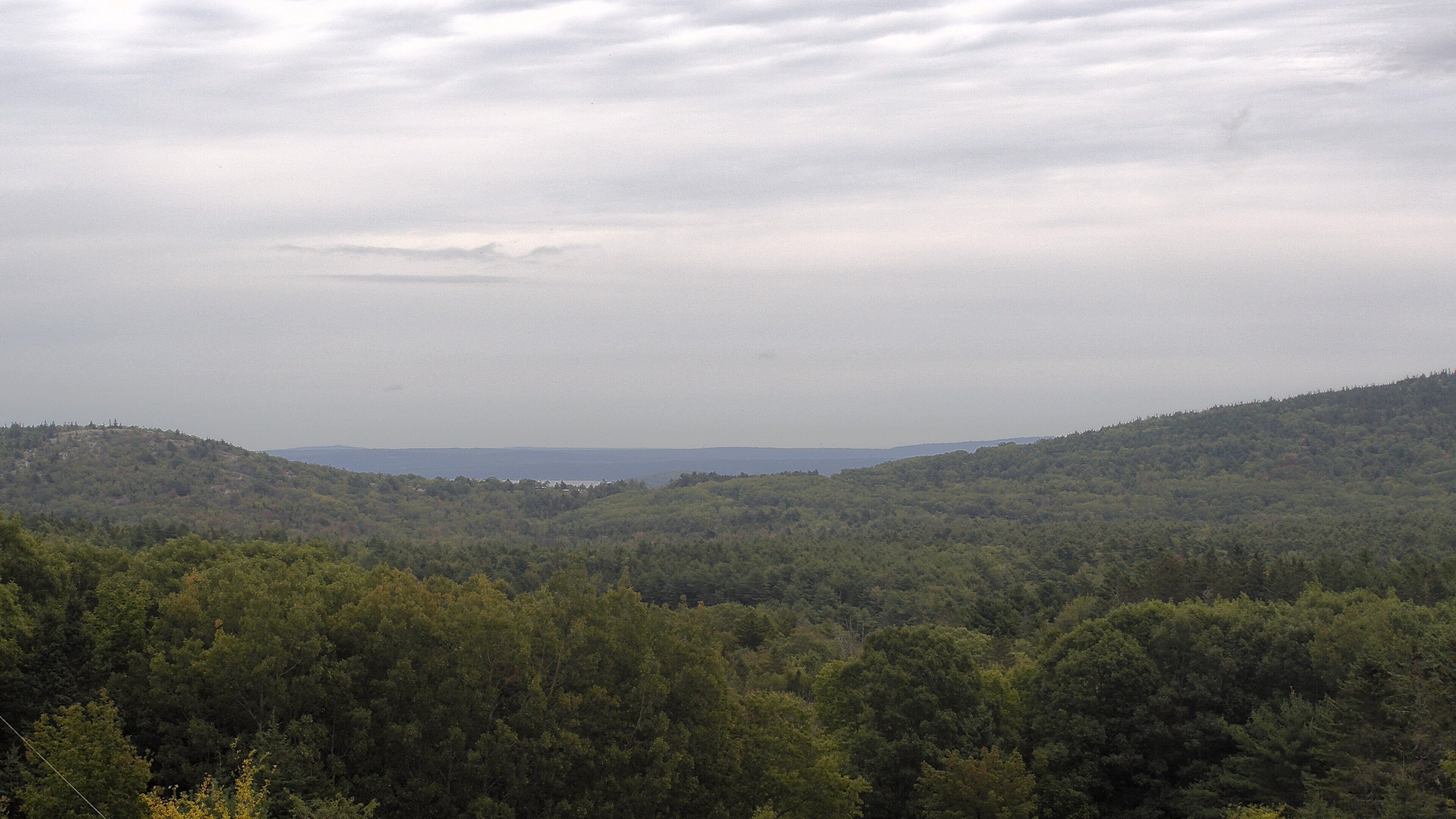 A wooded valley opens toward distant water, seen from McFarland Hill.