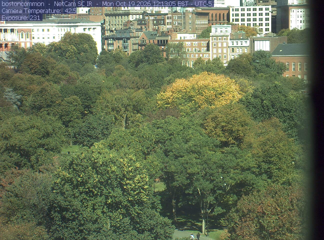 Buildings rise behind the park canopy; a fixed structure covers part of the right edge.