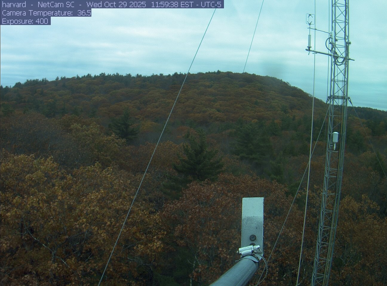 Forest canopy surrounds the tower, with a mast and instruments in the foreground.