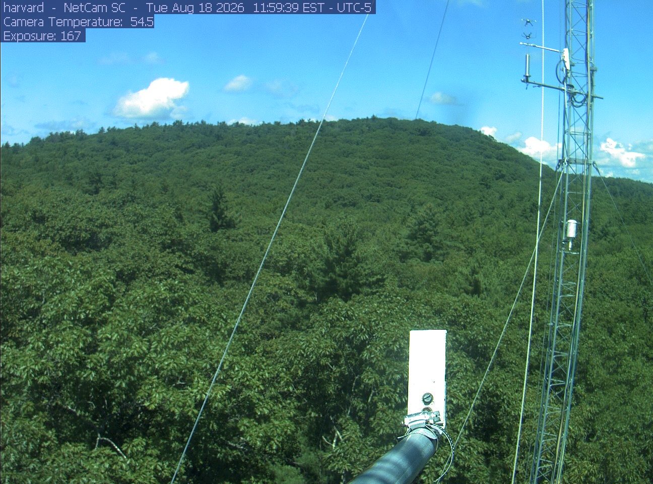 Forest canopy surrounds the tower, with a mast and instruments in the foreground.