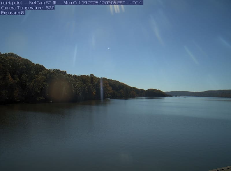 Wide river cove with a wooded shoreline to the left.