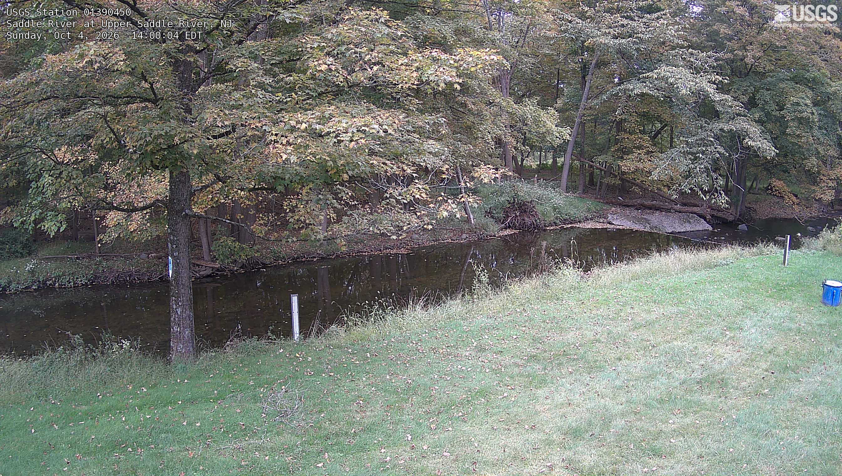 A broad wooded creek bank fills the upper half of the view, with readable green leaves and scattered yellow-brown change above dark water. The foreground is mown lawn with visible gauge posts.
