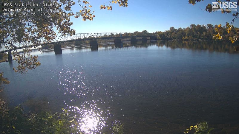 The broad river reflects a long steel bridge and a wooded far bank. Yellow and brown leaves hang close overhead, while olive-green and muted gold trees line the opposite shore.