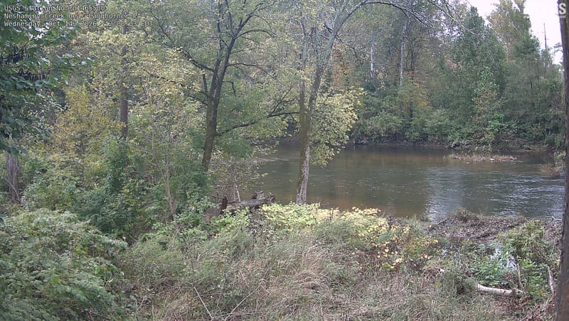 The wooded creek scene fills the frame with nearby trunks, branches and the opposite bank. Most leaves are green, with distinct yellow and orange patches. Mild bright haze at upper right does not prevent reading the scene.