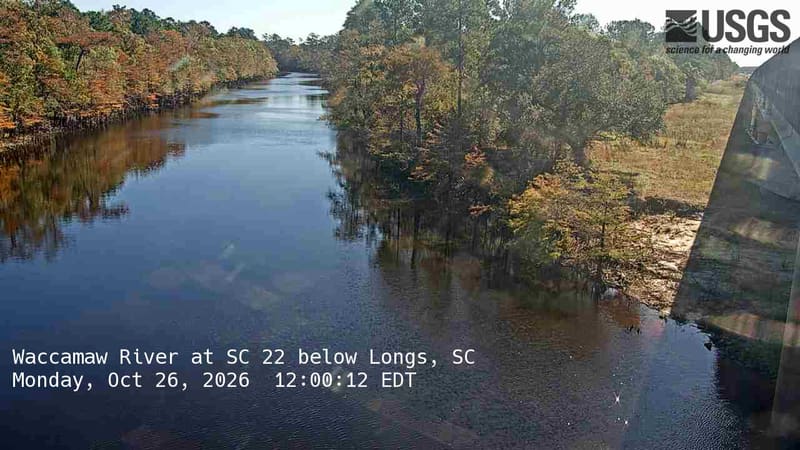 Green, gold and rusty trees line the river, with fine feathery crowns along the shore reflected in the water. A highway bridge runs along the right edge.