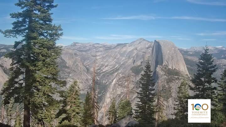 Tall firs and weathered snags in the near ground, with Yosemite’s high country beyond.