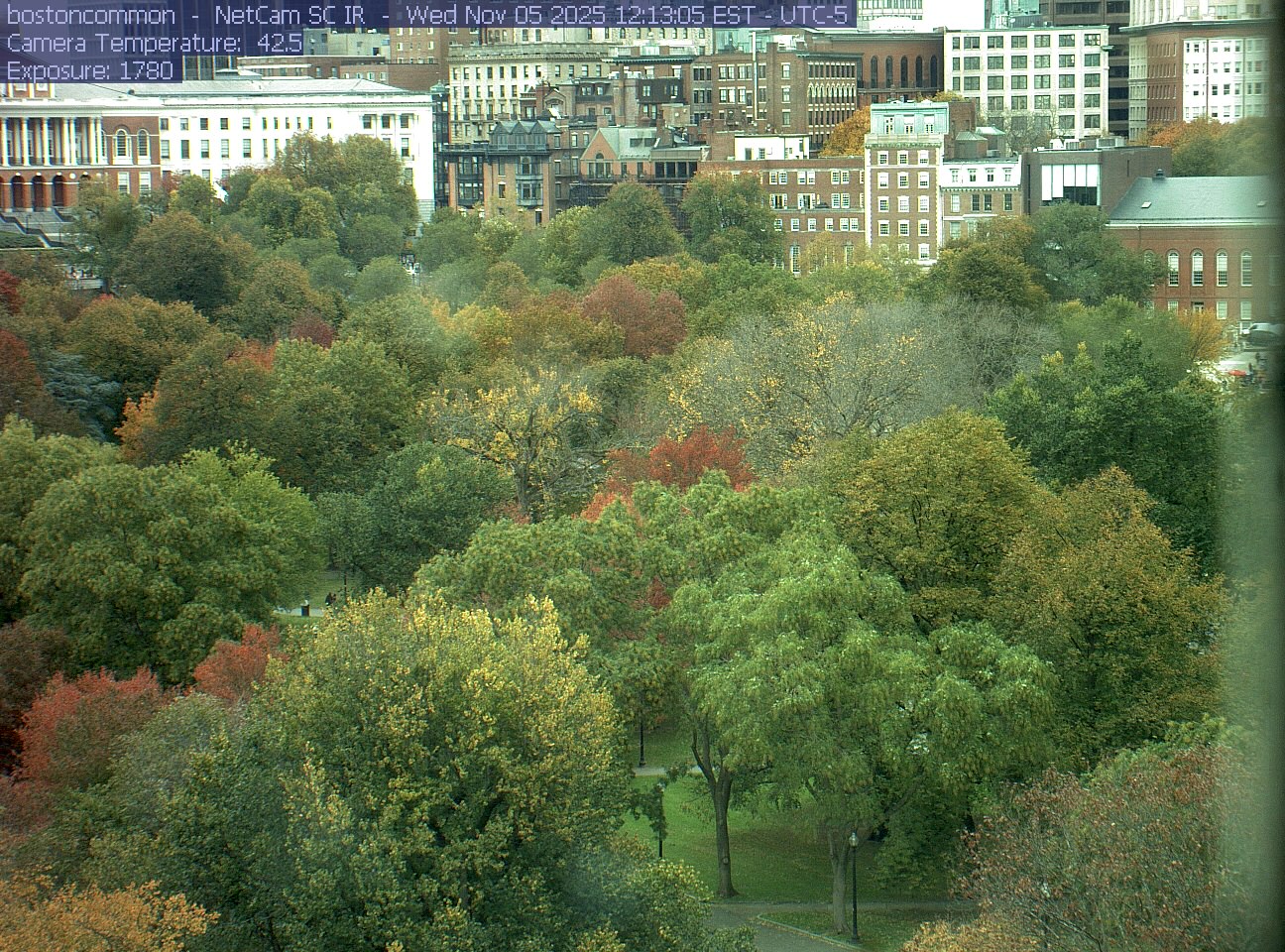 Buildings rise behind the park canopy; a fixed structure covers part of the right edge.