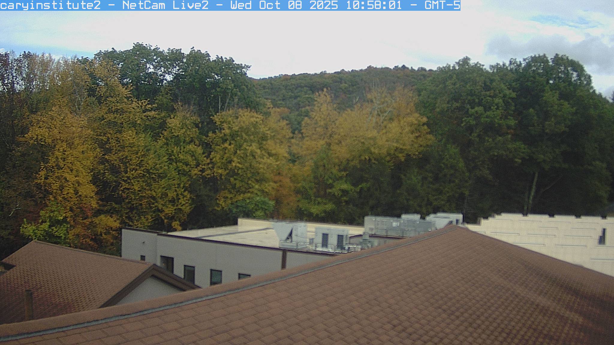 A rooftop camera at the Cary Institute in Millbrook looks over a shingle roof and a flat-roofed building to broadleaf woods and a ridge.