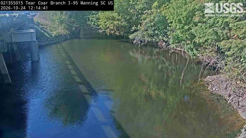 Tearcoat Branch lies still and dark under the trees, the woods mirrored in the water beside the highway bridge.