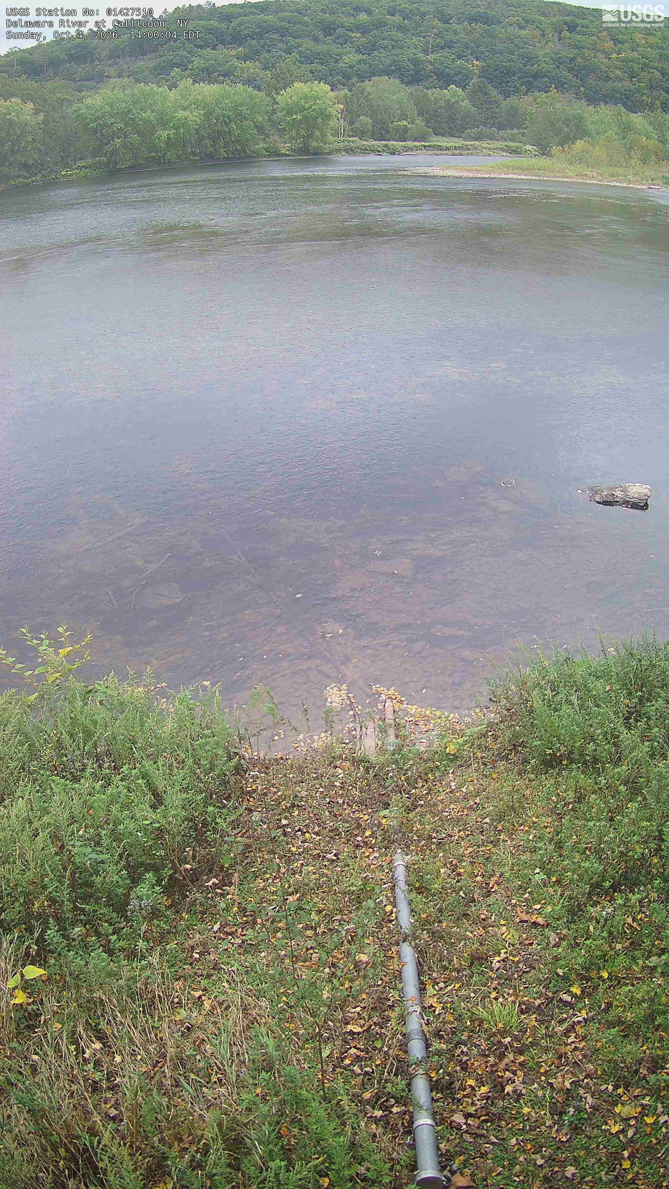 A broad river pool with a continuous wooded hill and tree-lined opposite bank, mostly green with a few yellowing crowns. The portrait composition gives much of its height to water and the near bank; the useful woodland view occupies the upper portion. It is not a close leaf study.