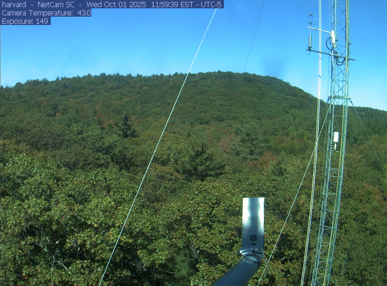 Forest canopy surrounds the tower, with a mast and instruments in the foreground.