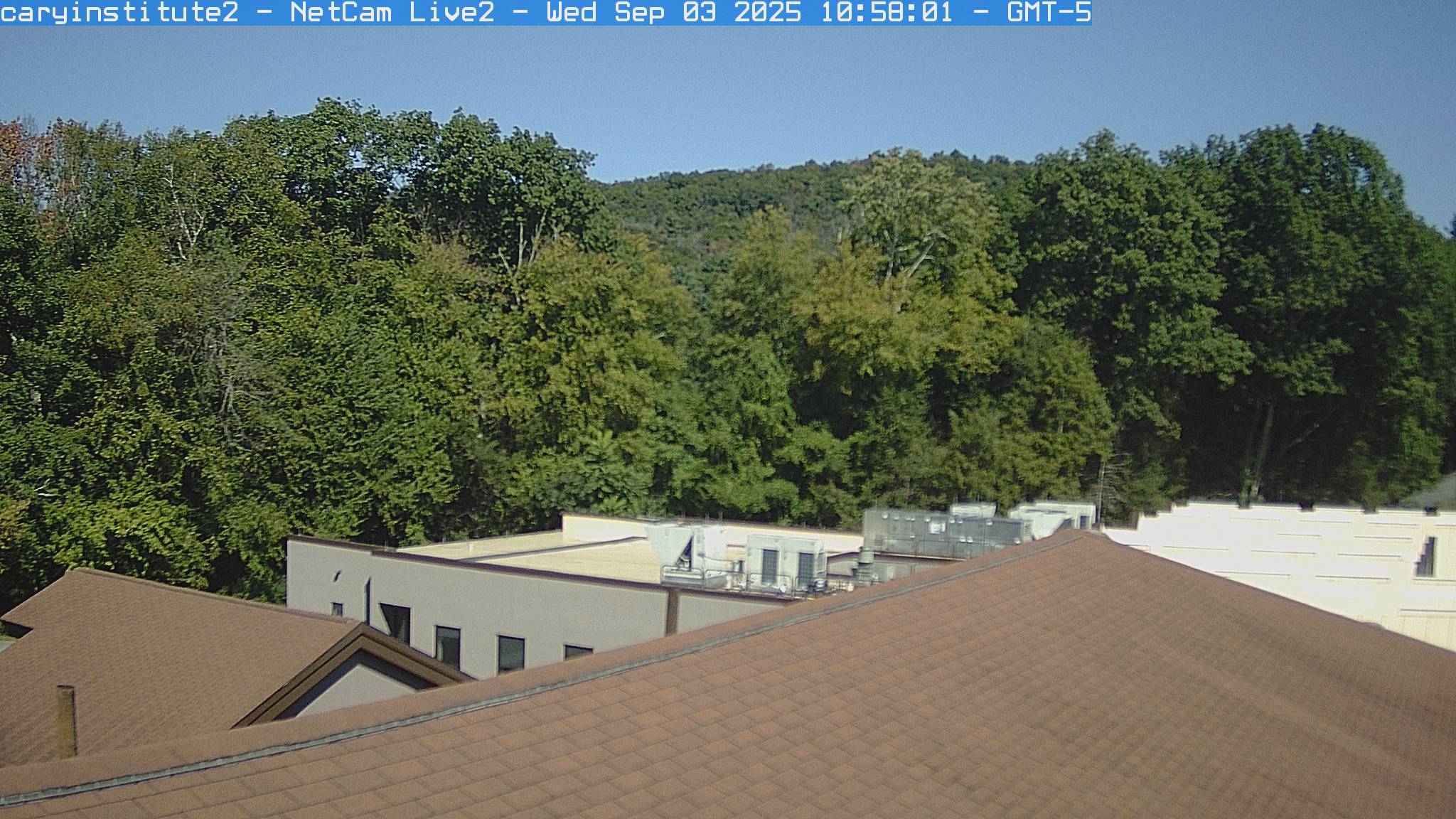 A rooftop camera at the Cary Institute in Millbrook looks over a shingle roof and a flat-roofed building to broadleaf woods and a ridge.