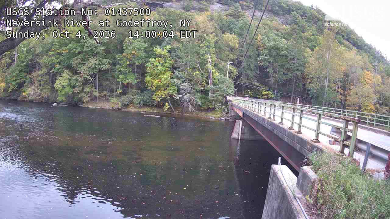 A river and low bridge below a substantial wooded hillside, showing green crowns with pale yellow patches.