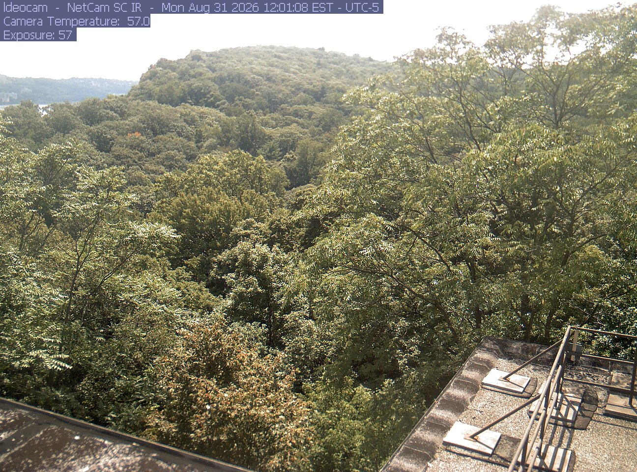 A wooded ridge rises behind close canopy at Lamont–Doherty Earth Observatory.