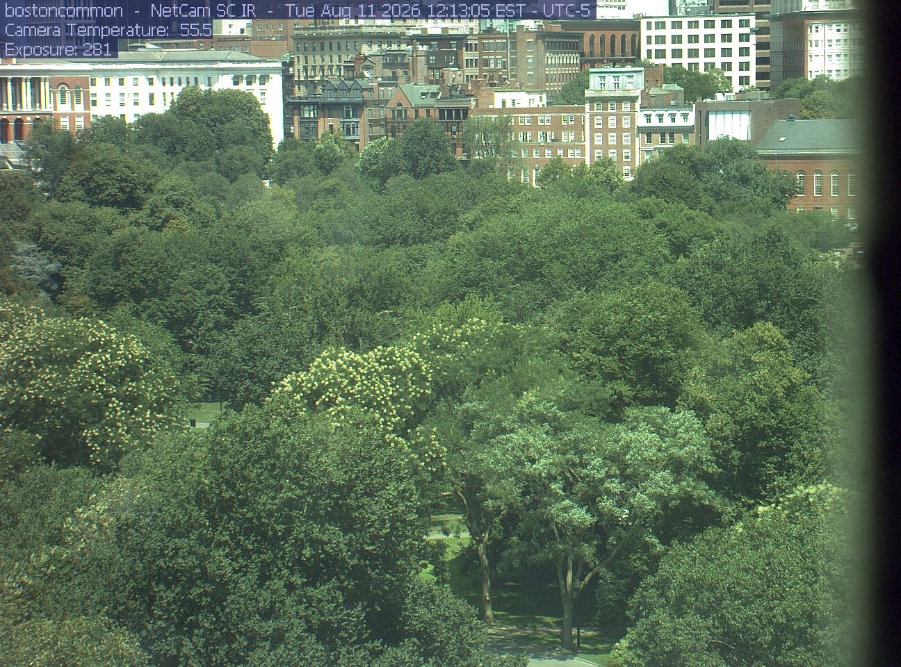 Buildings rise behind the park canopy; a fixed structure covers part of the right edge.