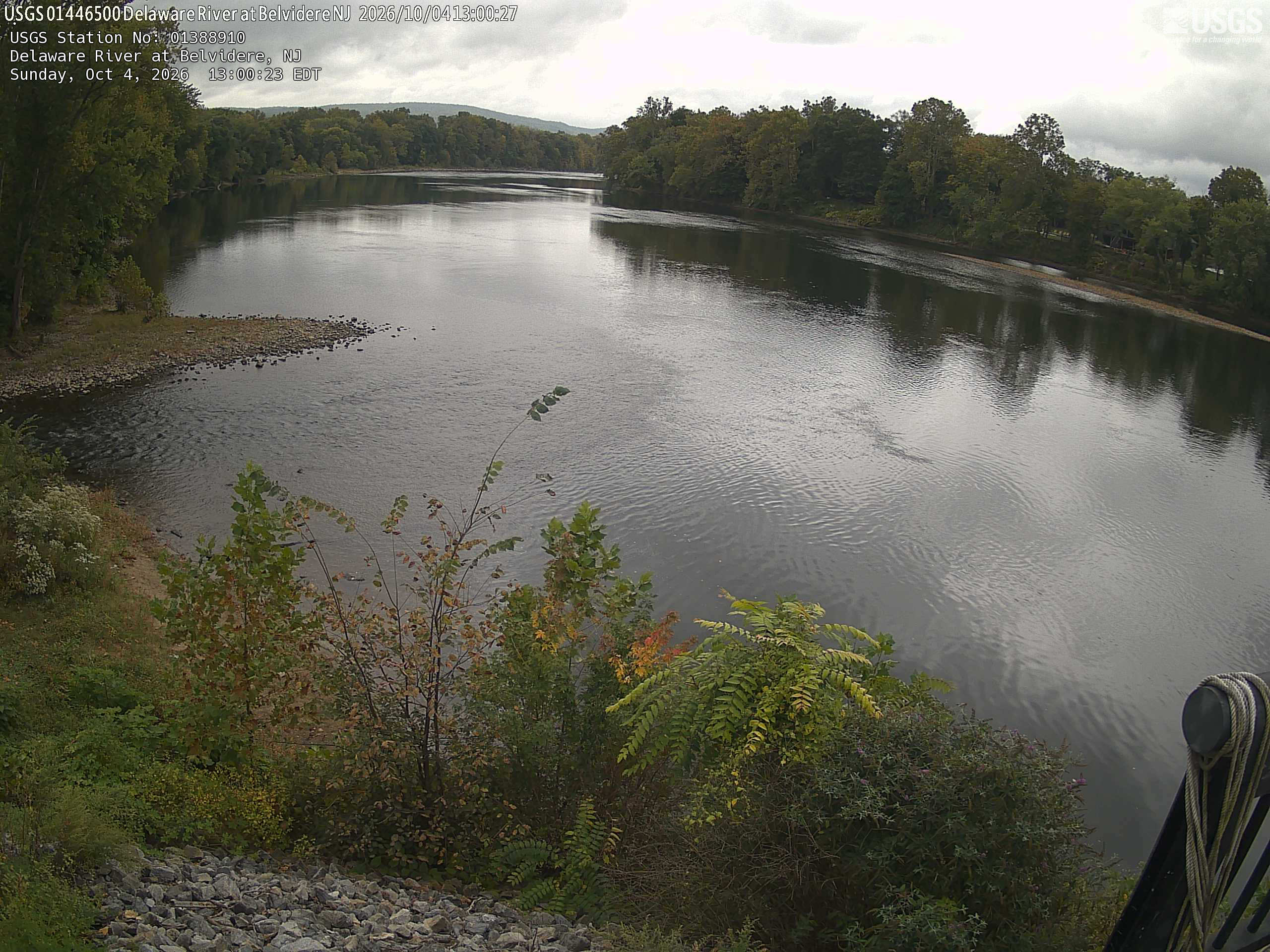 A broad river bend between wooded banks, with nearby yellowing leaves below and legible green/yellow crowns across the water. The scene is evenly cloudy, though the far bank is darker.