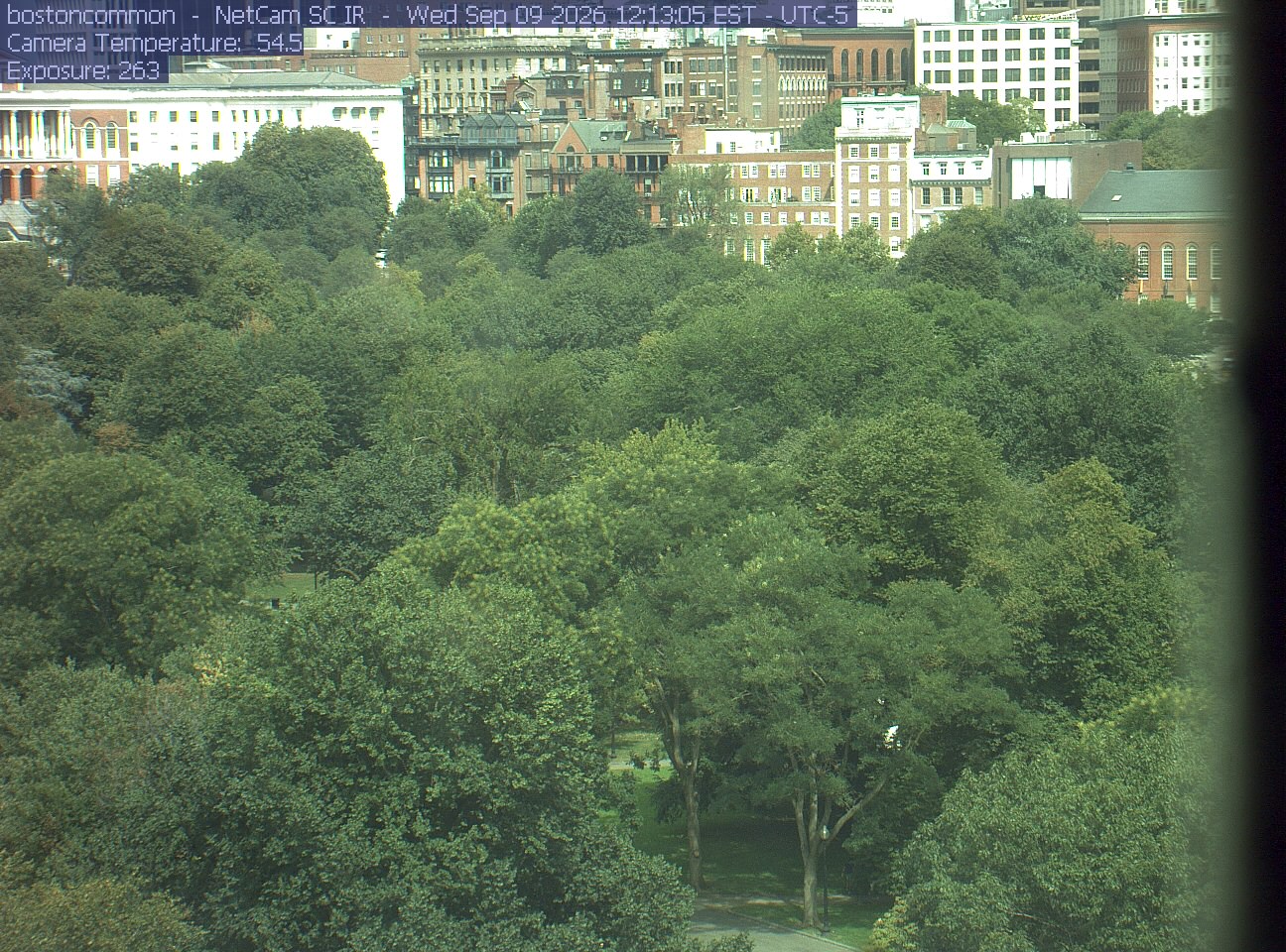 Buildings rise behind the park canopy; a fixed structure covers part of the right edge.