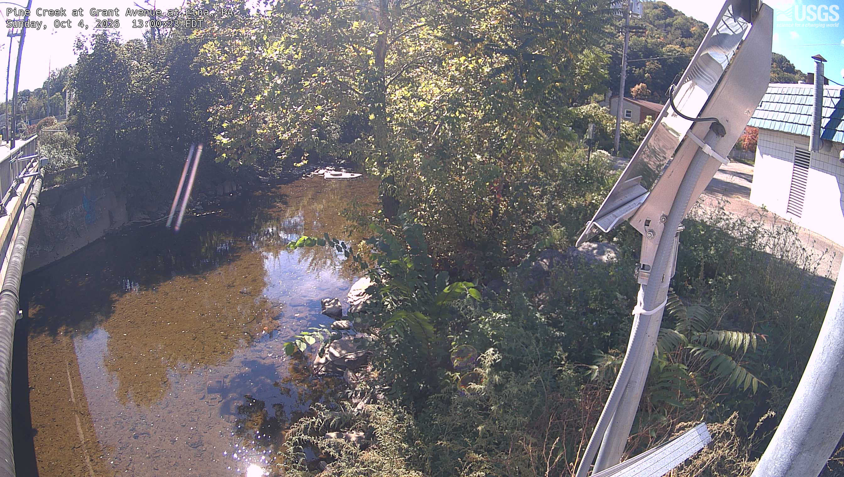 Clear nearby green/yellow crowns above an urban creek, with a wooded slope behind. A solar panel and building occupy the right and a narrow lens flare crosses the left; the central leaves remain readable.