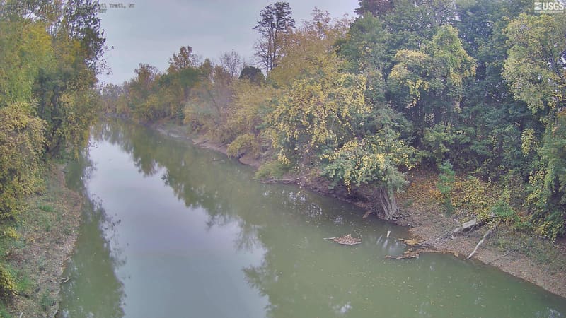 A long river bend fills the center, with large, clearly readable tree crowns along both banks. Green dominates, with yellow and muted orange through the middle distance. Local riverside crowns only, with some glare on sunlit leaves; no species identification or claim about the whole Genesee valley.