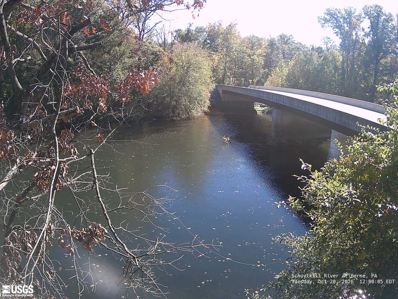 Clear wooded banks around a bridge and reflective river. Nearby leaves at left are brown and sparse; the farther canopy is predominantly green with some yellow. Those brown foreground leaves alone do not describe the whole canopy.