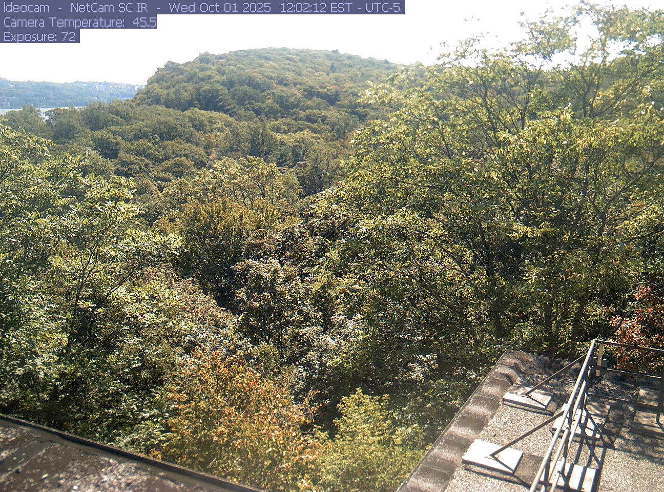 A wooded ridge rises behind close canopy at Lamont–Doherty Earth Observatory.