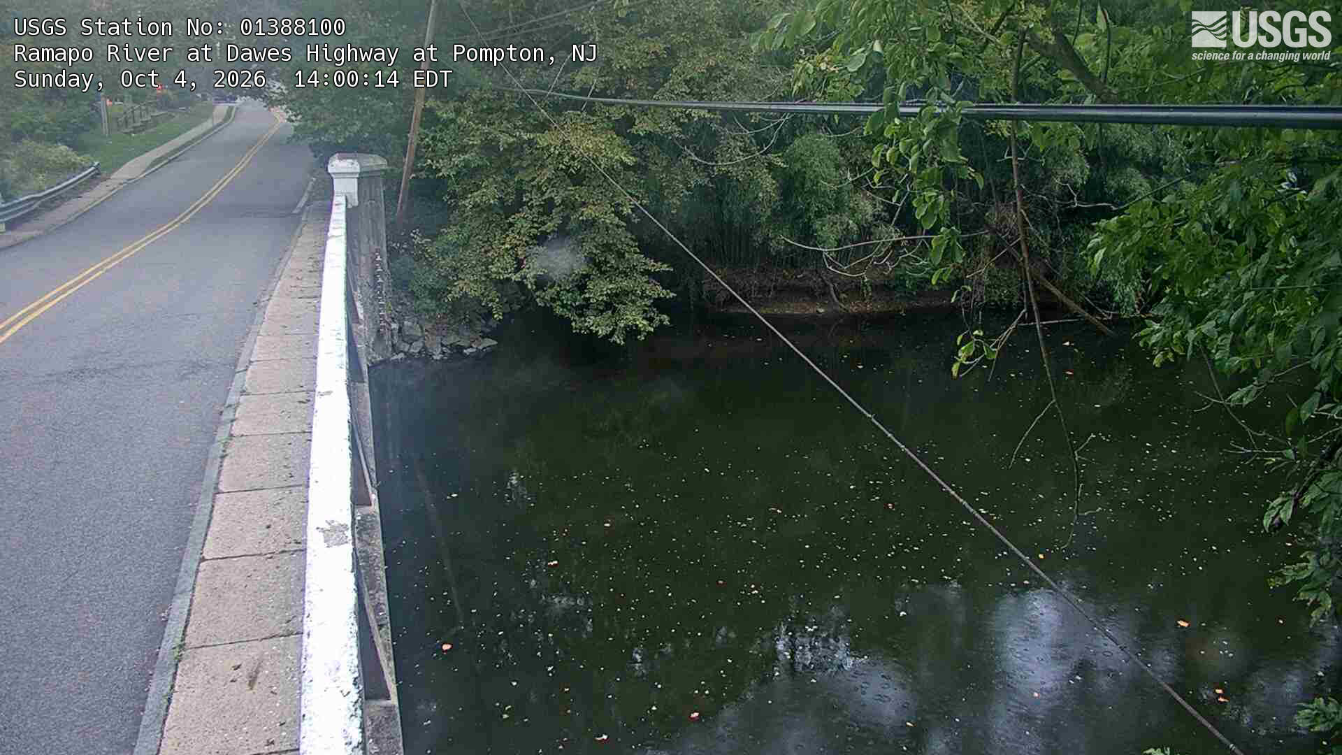 The bridge roadway occupies the left third, while overhanging green branches and a wooded bank lie over dark water.