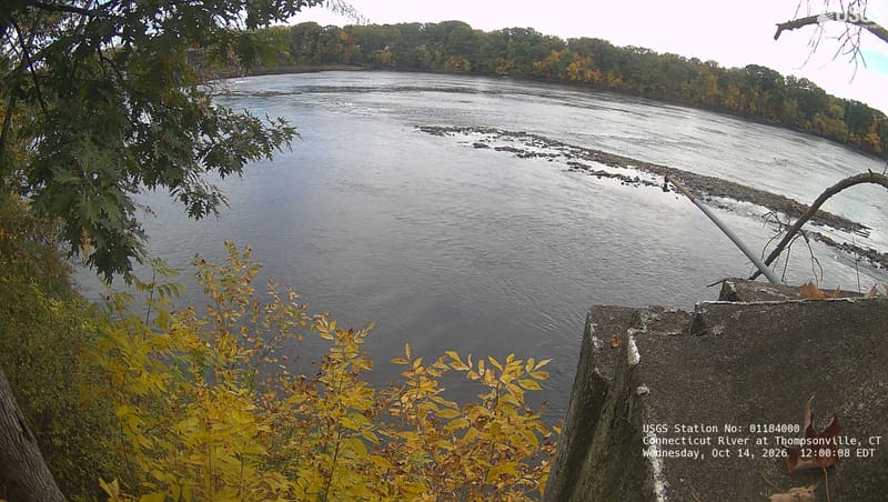 Clear near-bank green and yellow leaves at left and below, with a wooded opposite bank across the river.