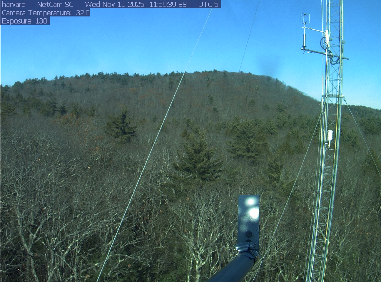 Forest canopy surrounds the tower, with a mast and instruments in the foreground.