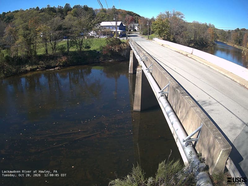 Clear trees on both riverbanks and the small hillside behind a bridge. The crowns are mainly green, with yellow and orange patches easy to see. Bridge and buildings are substantial parts of this local scene.