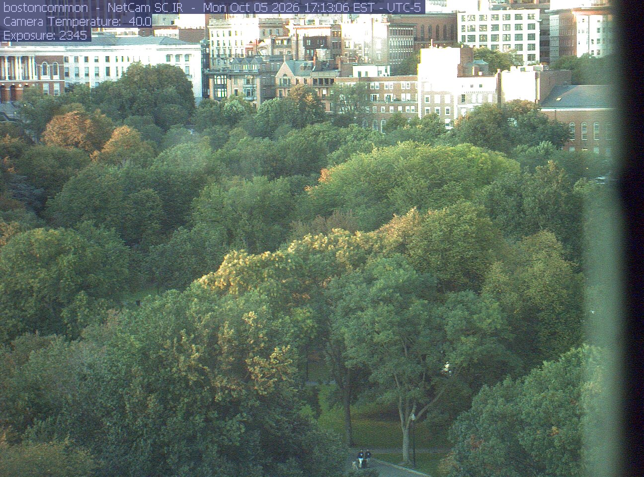 Buildings rise behind the park canopy; a fixed structure covers part of the right edge.
