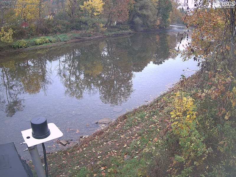 A clear wooded creek bend with green/yellow trees on the opposite bank and nearby leaves at right. Bright water reflection and deep tree shade make fine colour comparisons uneven.