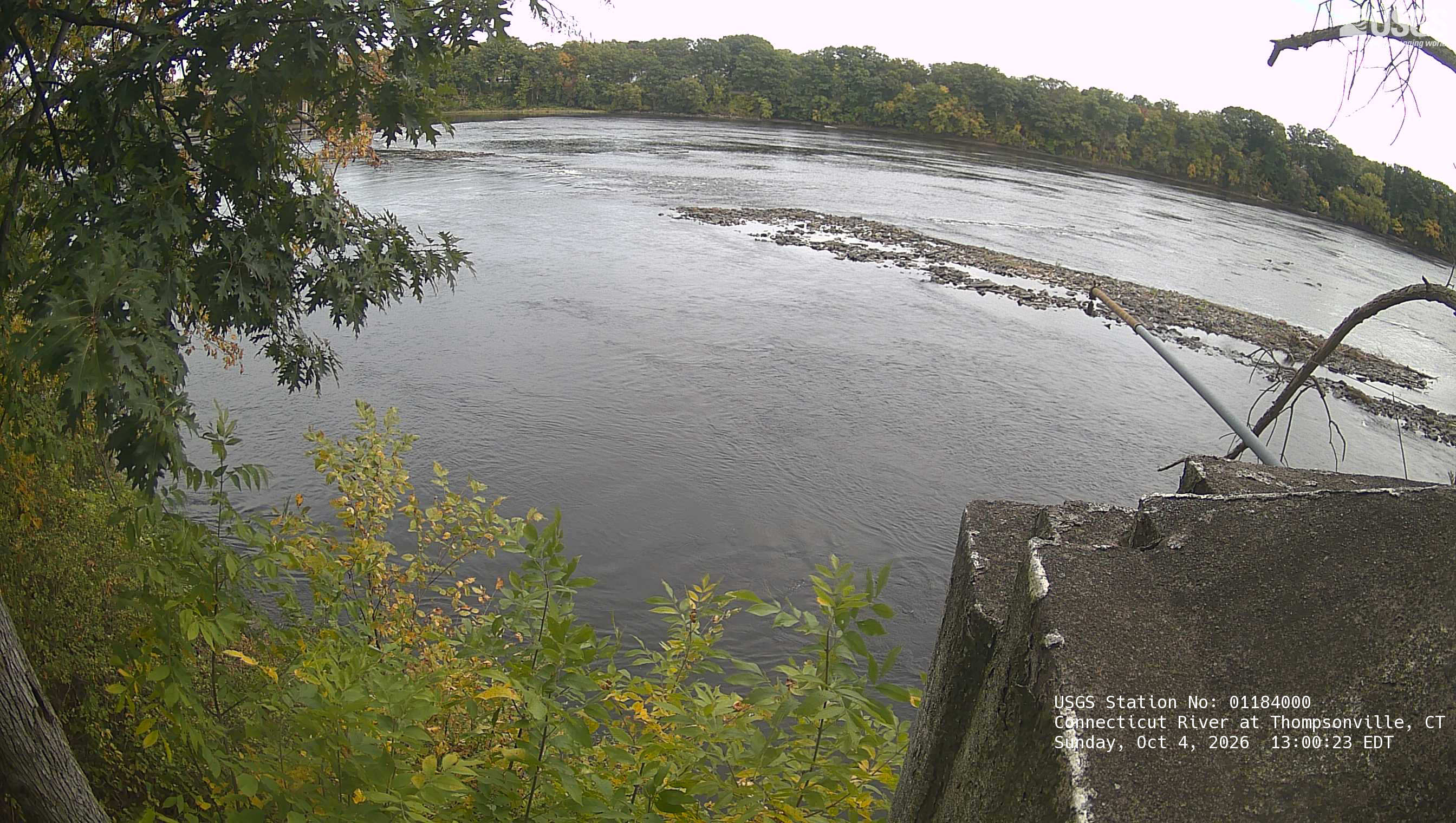 Clear near-bank green and yellow leaves at left and below, with a wooded opposite bank across the river.