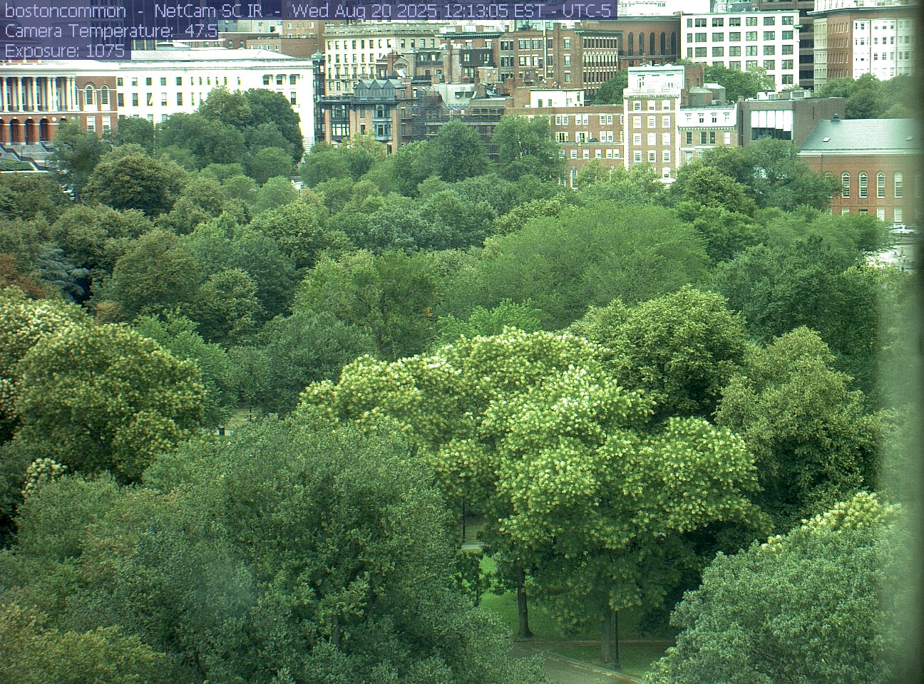 Buildings rise behind the park canopy; a fixed structure covers part of the right edge.